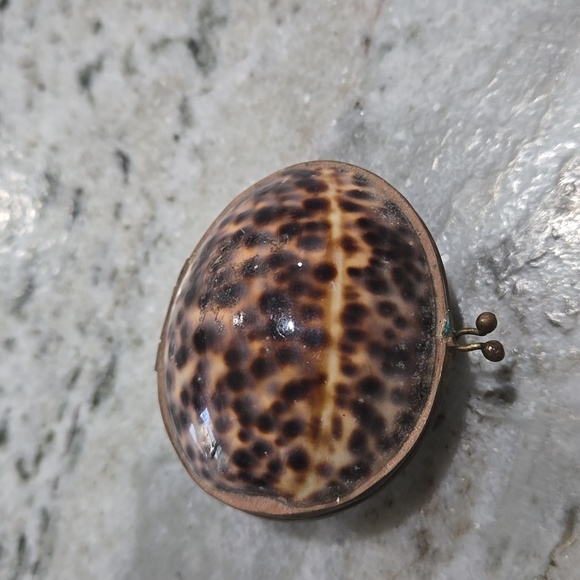 Shell Trinket Box - Picture 2 of 6